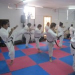 Chile Toledo September 2013 9