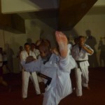 Montenegro Pesikan September 2013 8