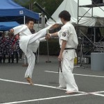 沼田演武会2013－20