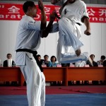 China Zhao October 2013 4