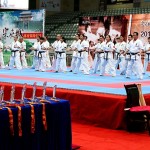 China Zhao October 2013 7