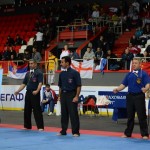 European Champ 2013 7