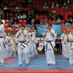 Europian Champ 2013 17