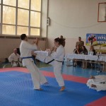 Ukraine Volynets October 2013 5