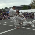 沼田演武会２０１３－9