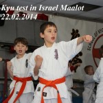 Israel Alexey February 2014 2