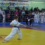 Russia Agapov March 2014 7