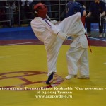 Russia Agapov March 2014 9