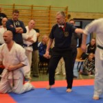 Sweden Nabahi April 2014 15 (640x424)