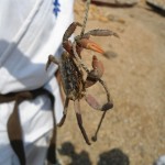 Pakistan Ali May 2014 12