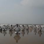 India Das June 2014 8