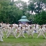 India Santanu June 2014 2