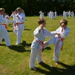 Sweden Nabahi June 2014 13