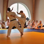 Sweden Nabahi June 2014 19