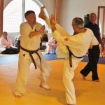 Sweden Nabahi June 2014 20