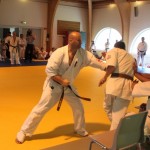 Sweden Nabahi June 2014 23