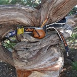 Russia Agapov July 2014 8