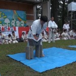 ホリデーイン前橋演武会2014年８月25日 024 (640x366)