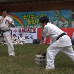 ホリデーイン前橋演武会2014年８月25日 029 (640x406)