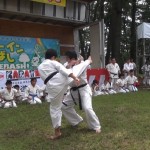 ホリデーイン前橋演武会2014年８月25日 016 (640x407)