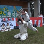 ホリデーイン前橋演武会2014年８月25日 031 (640x477)