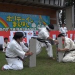 ホリデーイン前橋演武会2014年８月25日 028 (640x450)