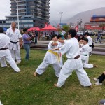 Chile Freddy August 2014 10