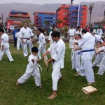 Chile Freddy August 2014 11