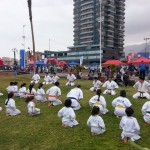 Chile Freddy August 2014 5
