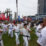 Chile Freddy August 2014 9