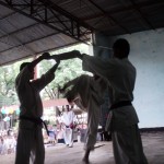India Dey August 2014 13