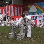 ホリデーイン前橋演武会2014年８月25日 027 (640x389)