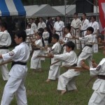 ホリデーイン前橋演武会2014年８月25日 009 (640x360)