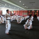 World Cup Seminar 11 (640x480)