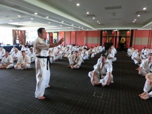 World Cup Seminar 11 (640x480)