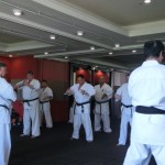 World Cup Seminar 3 (640x480)