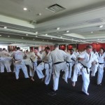 World Cup Seminar 4 (640x480)