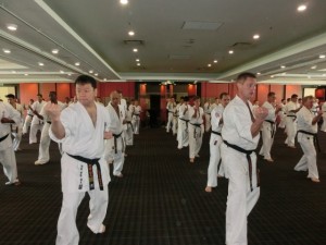 World Cup Seminar 5 (640x480)
