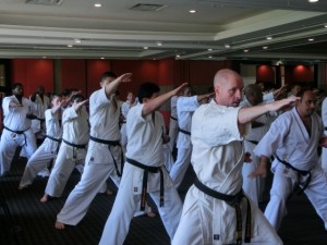 World Cup Seminar 8 (640x480)