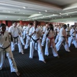 World Cup Seminar 9 (640x480)