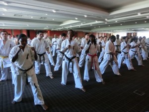 World Cup Seminar 9 (640x480)