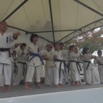 沼田演武会2014　3