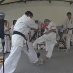 沼田演武会2014　8