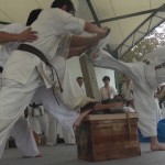 沼田演武会2014　21