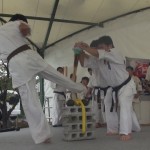 沼田演武会2014　13