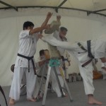 沼田演武会2014　22