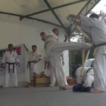 沼田演武会2014　14