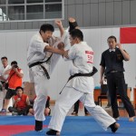 China Zhao October 2014 10