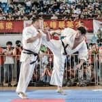 China Zhao October 2014 15