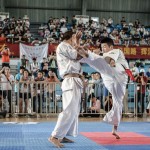 China Zhao October 2014 16